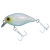 30991-BONE