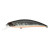 25325-Prism Shad