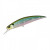 24947-Prism Minnow