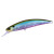 24947-Prism Minnow