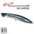 27959-Saddled Bream ND