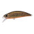 26518-RP Yellow Loach
