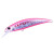 24948-Pink Sardine