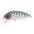 18758-Herring