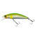 17976-Lime Back