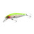 22785-Rainbow