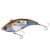 28204-001<br>S Smelt