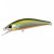 16960-Tennessee Shad