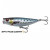 9756-Sardine PHP