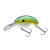 Blue Perch