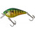 20068465-
			Fire Gold Perch