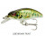 Live Brown Trout