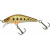 20069070-
			Secret Trout