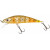 20069591-
			Stripped Trout