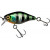 20028557-
			HL Sunfish