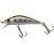 20041801-
			Sight Trout