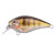 13491-Zander