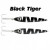 12619-Black Tiger