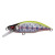 24318-LZ Chart Back Yamame<br>16