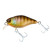 30993-NOIKE GILL