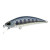 26521-Baby Salmon