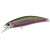 29002-Rainbow Trout ND