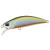 14298-Tennessee Shad