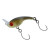 25629-OLIVE GLOW