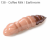 14104-138<br>Coffee Milk/Earthworm