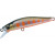 24076008-
			№076008<br>Orange Yamame