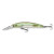 see trough shad