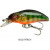Gold Perch
