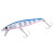 BLUPIN ZEBRA