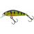 20000454-
			Perch
