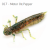 8438-017<br>Motor Oil Pepper