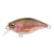 22672-Rainbow Trout