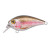 13494-Rainbow Trout