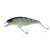24610-BABATAKU GOGAN CRAW