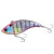 28209-007<br>Gill Jr