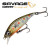 Brown Trout Smolt<br>- КОД : 
SVS72322