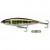 Live Minnow