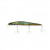 REAL SARDINE
