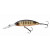pearl ghost perch
