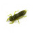 8940-074<br>Green Pumpkin Seed