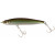 20016135-
			Anchovy