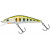 20038200-
			Spot Green Trout