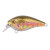 13496-Baby Trout