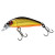 30804-HL GOLD and BLACK