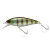 19267-BLUEGILL