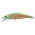19389-LIME YAMAME